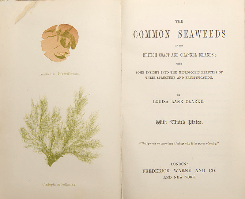 Second edition of Louisa Lane Clarke's Common Seaweeds of the British Coast, a lovely copy in the original colour pictorial binding, published in 1881.