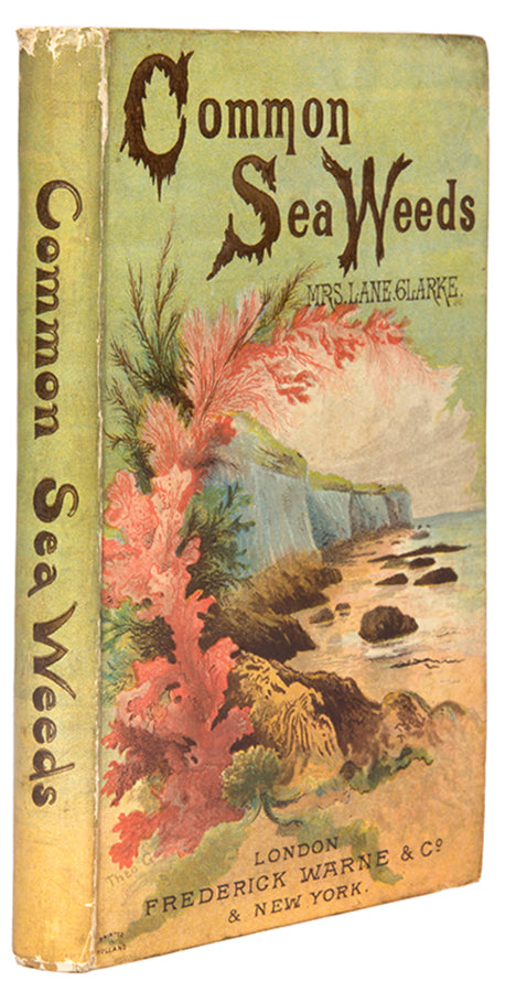 Second edition of Louisa Lane Clarke's Common Seaweeds of the British Coast, a lovely copy in the original colour pictorial binding, published in 1881.