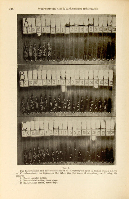 The rare first edition of Effect of Streptomycin and Other Antibiotic Substances, the paper announcing a potential cure for tuberculosis by Albert Schatz and Selamn Waksman.