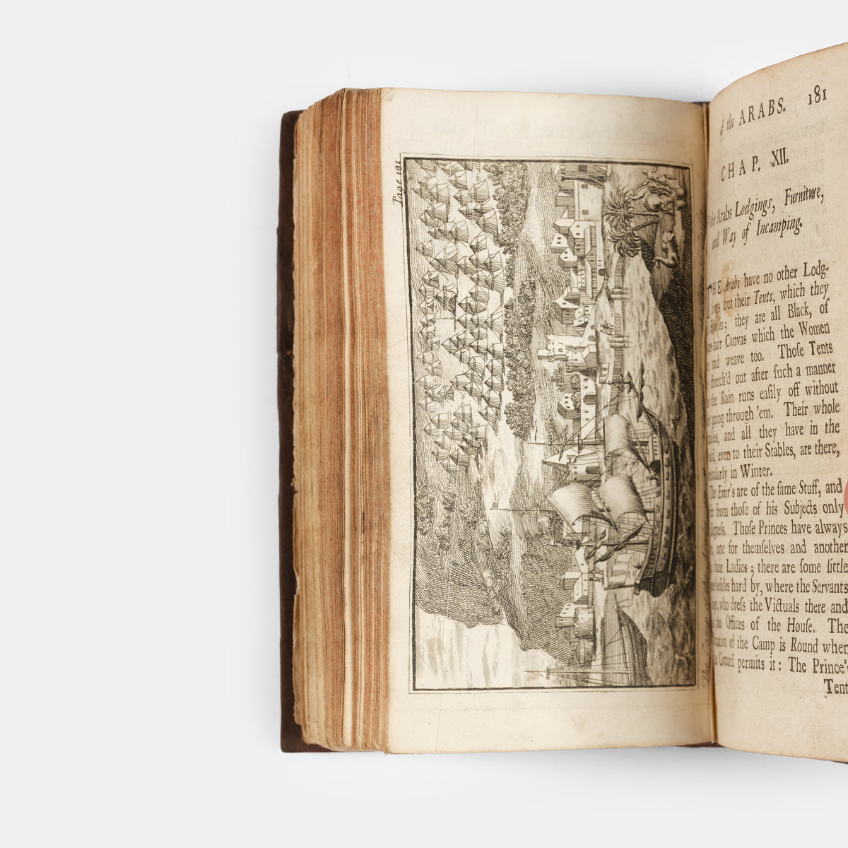 The Travels of the Chevalier D'Arvieux in Arabia the Desart;