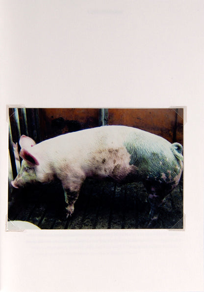 In Pig 05049, Christien Meindertsma documents the many food and consumer products made from a single pig.
