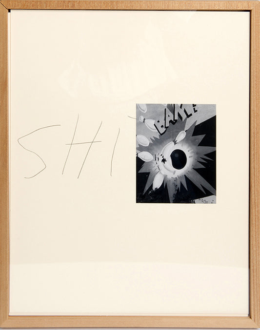 John Gossage made these photographs in Staten Island and around Syracuse over a month in 1984, choosing to photograph in locations included in the 103c list of hazardous waste sites issued by the Environmental Protection Agency.