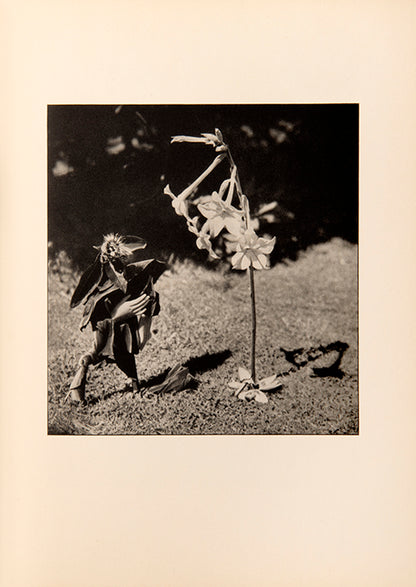 Lise Deharme and Claude Cahun envisioned Le Coeur de Pic as a cohesive artwork. Cahun's photographs brought inanimate objects to life and encouraged older viewers to see the world through a child's perspective.