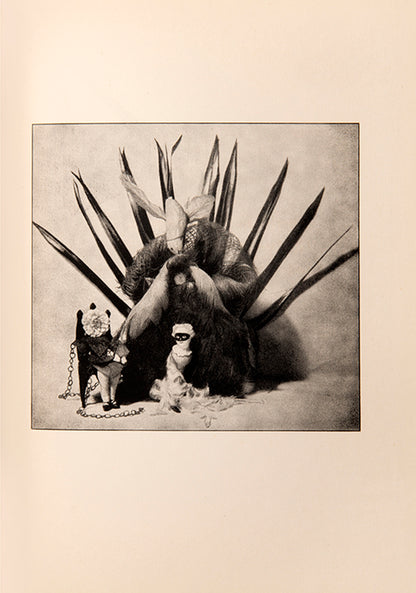 Lise Deharme and Claude Cahun envisioned Le Coeur de Pic as a cohesive artwork. Cahun's photographs brought inanimate objects to life and encouraged older viewers to see the world through a child's perspective.