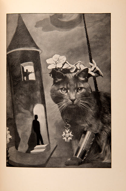Lise Deharme and Claude Cahun envisioned Le Coeur de Pic as a cohesive artwork. Cahun's photographs brought inanimate objects to life and encouraged older viewers to see the world through a child's perspective.