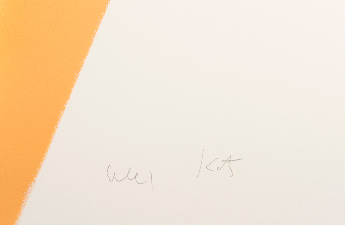 Alex Katz, Olivia 1, 2025, silkscreen, signed by the artist, from the edition of 50, on saunders 425 gsm paper