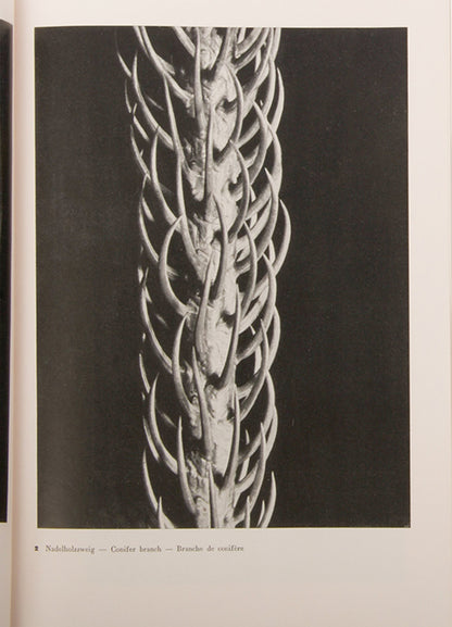 60 Fotos is the first mongraph of Aenne Biermann's photographs, with the publisher's scarce wraparound band.