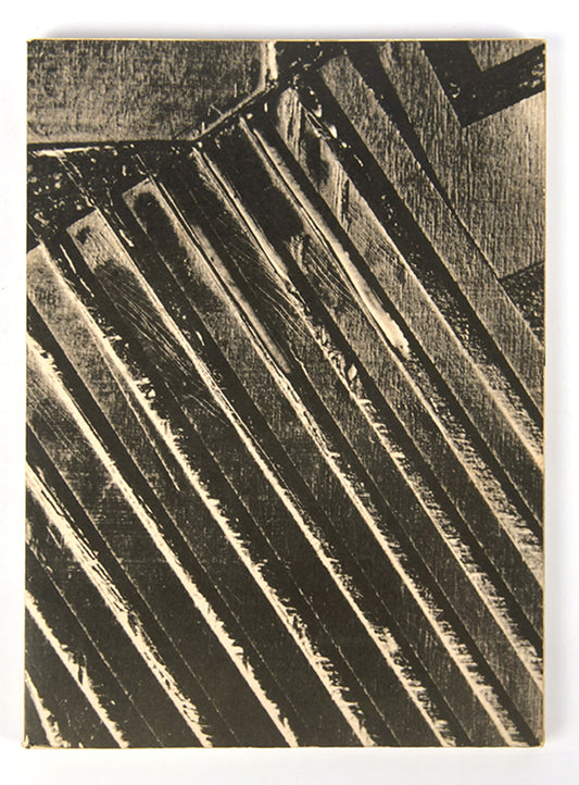 Maria Bonomi occupies a central role in contemporary Brazilian art as a pioneer in abstract wood engraving.