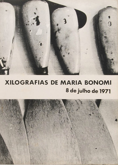 Maria Bonomi occupies a central role in contemporary Brazilian art as a pioneer in abstract wood engraving.