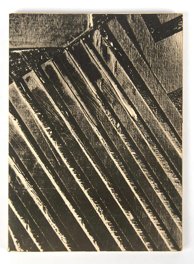 Maria Bonomi occupies a central role in contemporary Brazilian art as a pioneer in abstract wood engraving.