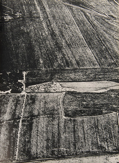 Maria Bonomi occupies a central role in contemporary Brazilian art as a pioneer in abstract wood engraving.