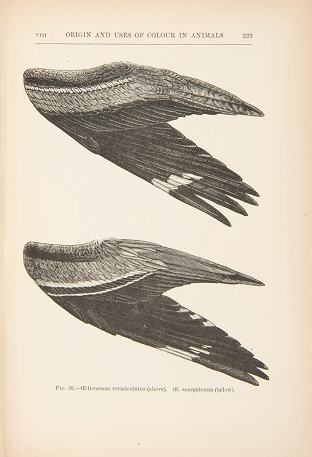 First edition and a very attractive copy of biologist Alfred Russel Wallace's important book Darwinism, published in 1889.