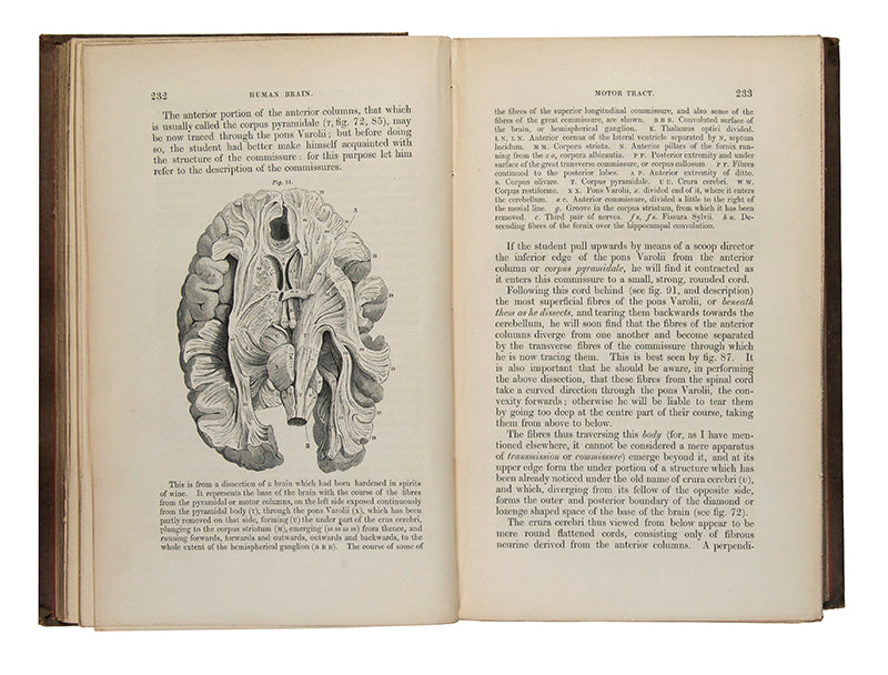 Second edition, inscribed presentation copy of Samuel Solly's important work on neurology, The Human Brain, from the library of Oliver Sacks, with his octopus bookplate.