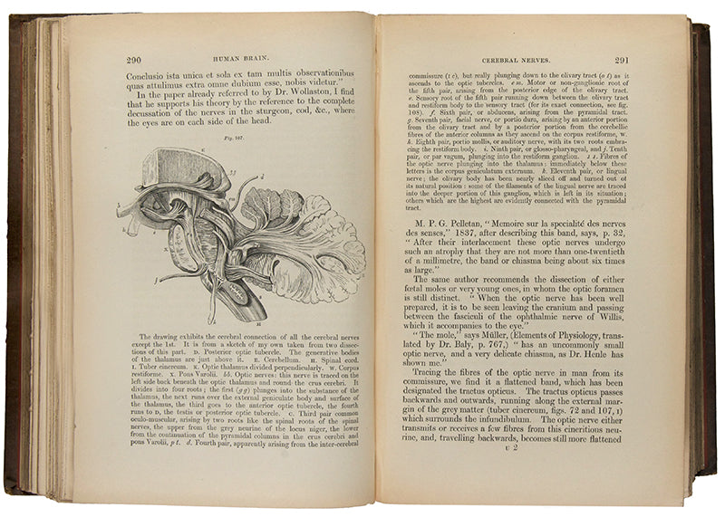 Second edition, inscribed presentation copy of Samuel Solly's important work on neurology, The Human Brain, from the library of Oliver Sacks, with his octopus bookplate.