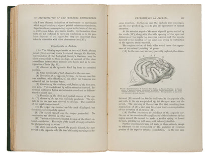 The Functions of the Brain.