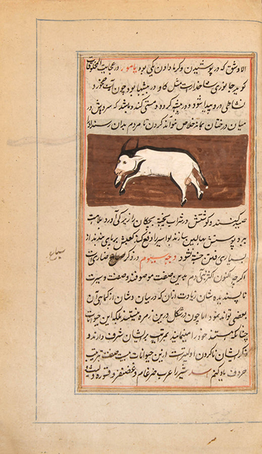 A compilation manuscript containing text from Aufi and Qazvini, India, late 19th century.