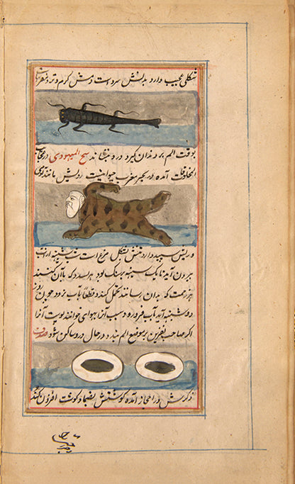 A compilation manuscript containing text from Aufi and Qazvini, India, late 19th century.