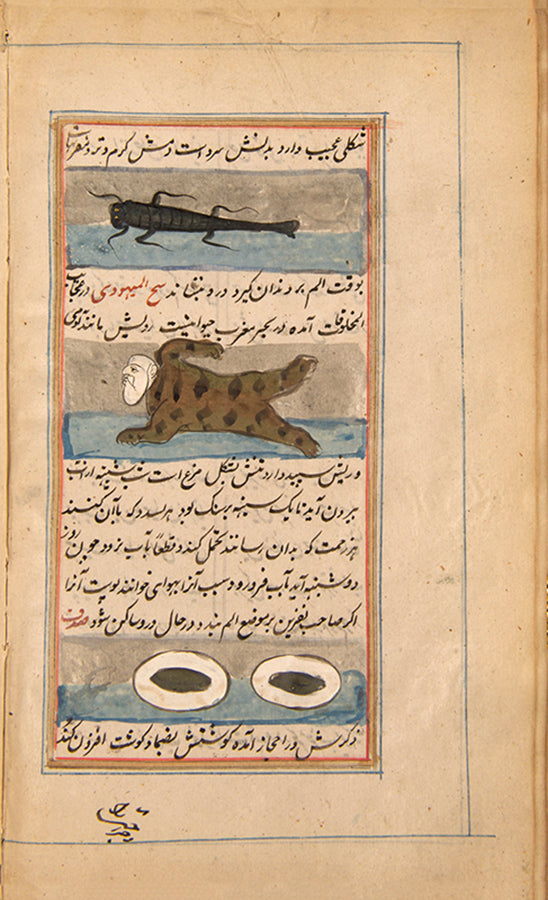 A compilation manuscript containing text from Aufi and Qazvini, India, late 19th century.