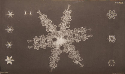 First edition of Edward Belcher's The Last of the Arctic Voyages. Belcher's voyage was the last officially sent in search of Sir John Franklin, who disappeared during an Arctic expedition in 1845.