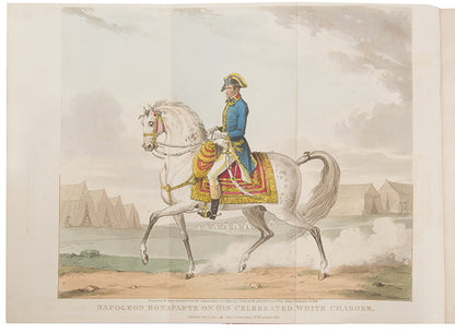 A handsome set of Ireland's Life of Napoleon, illsutrated with 26 aquatints by George Cruikshank, and bound in red morocco by Bayntun Riviere.