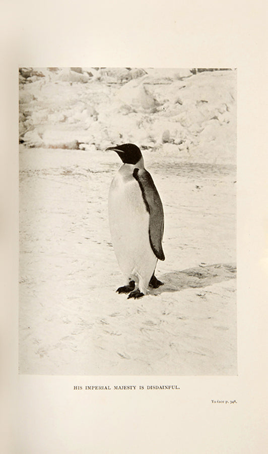 First edition of Raymond Priestley's Antarctic Adventure, Priestley's account of Scott's Terra Nova expedition and the amazing survival of the Northern Party.