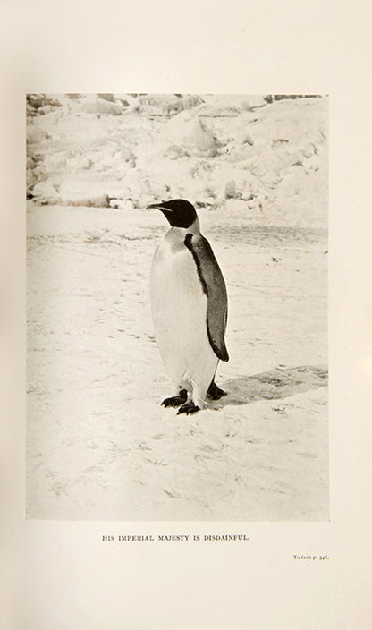 First edition of Raymond Priestley's Antarctic Adventure, Priestley's account of Scott's Terra Nova expedition and the amazing survival of the Northern Party.