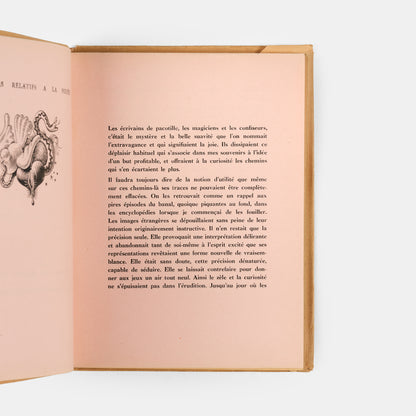 La Poupee evolved out of a series of events in Hans Bellmer's personal life: his cousin, Ursula Naguschewski moving from Kassel to Berlin in 1932, his attendance of a performance of Jacques Offenbach'sTales of Hoffmann, and his mother shipping him his old toys. 