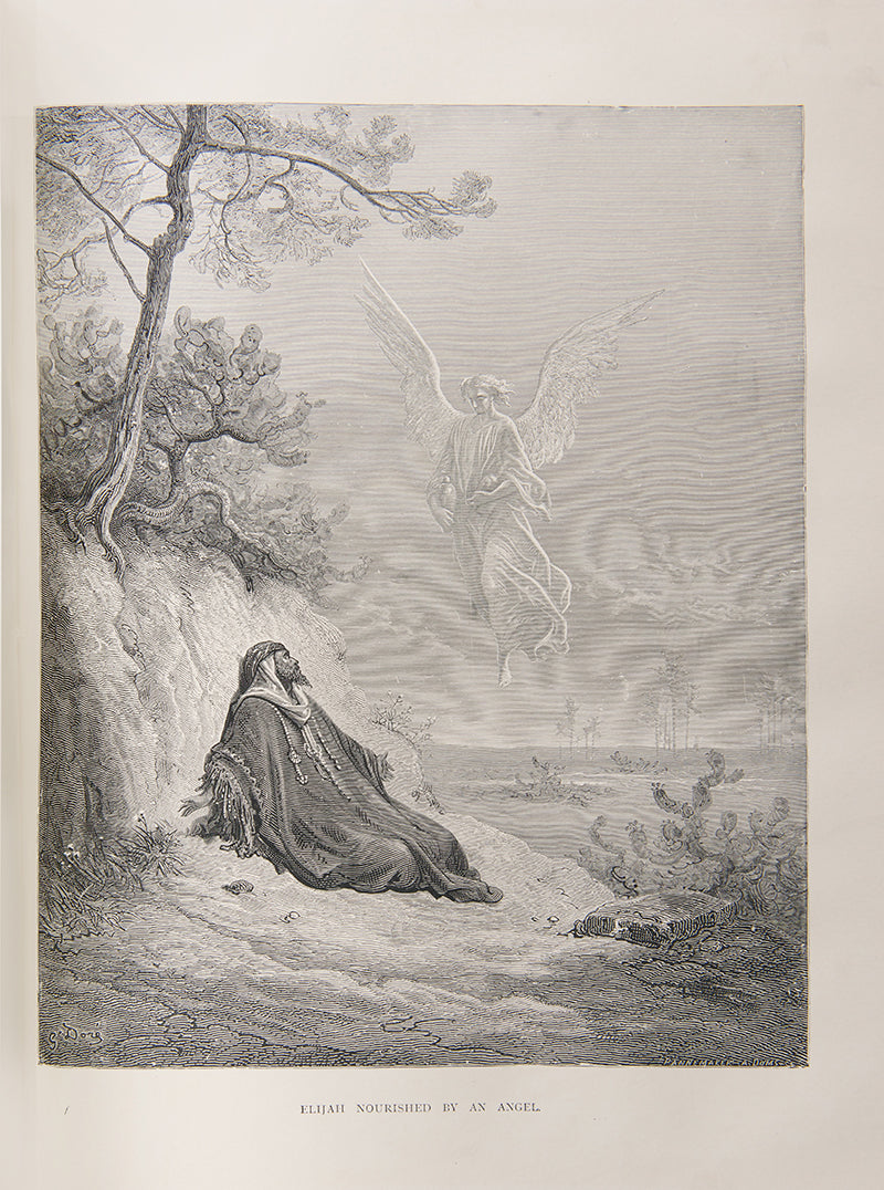 The National Comprehensive Family Bible, illustrated with colour and black & white plates