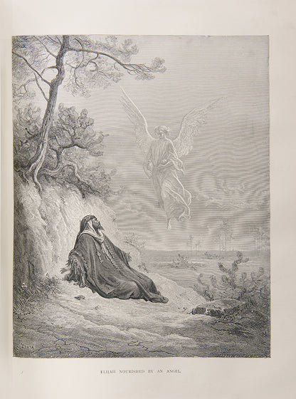 The National Comprehensive Family Bible, illustrated with colour and black & white plates
