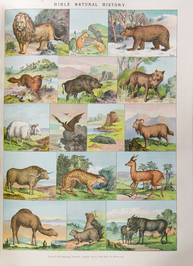 The National Comprehensive Family Bible, illustrated with colour and black & white plates