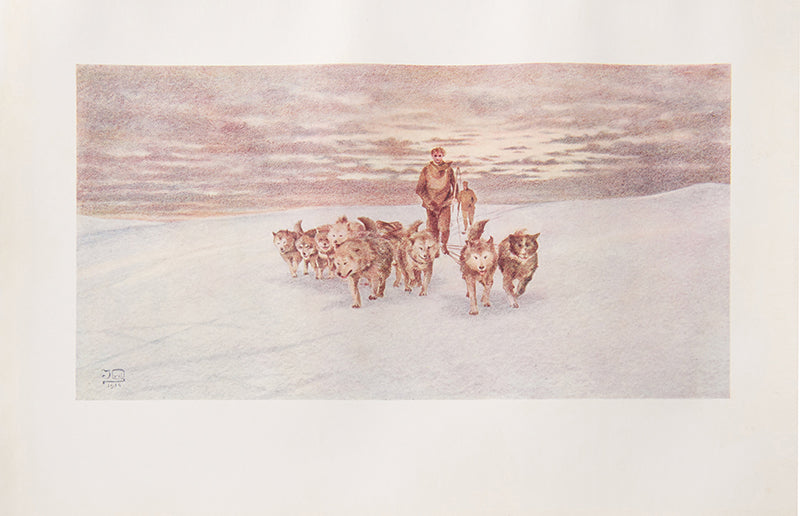 First edition of Mawson's The Home of the Blizzard, a classic account of the heroic age with beatiful colour paintings and superb maps.