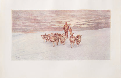 First edition of Mawson's The Home of the Blizzard, a classic account of the heroic age with beatiful colour paintings and superb maps.