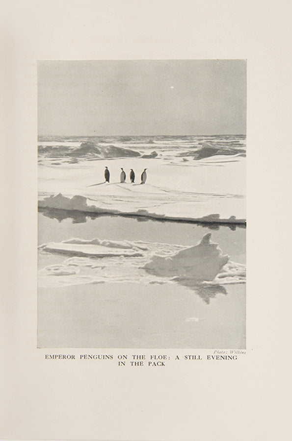 Fine copy of the first edition of Shackleton's Last Voyage, the official account of Shackleton's last voyage, Quest, and his death by his second in command.