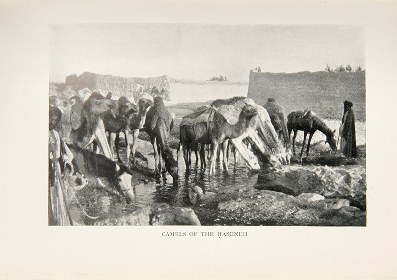 First edition, second impression, of Gertrude Bell's The Desert and the Sown, her scarce chronicle of her journey through Syria to Antioch. 
