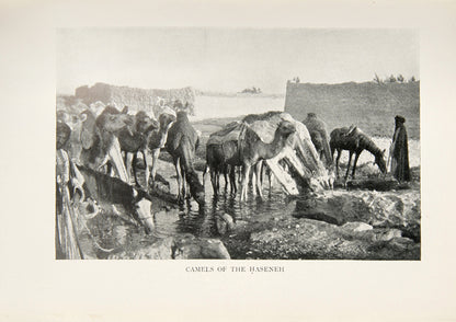 First edition, second impression, of Gertrude Bell's The Desert and the Sown, her scarce chronicle of her journey through Syria to Antioch. 