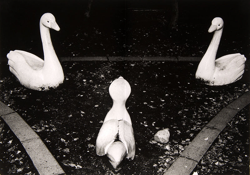 The first book dummy of Jacob Aue Sobol's I, Tokyo.