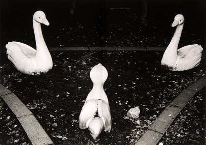 The first book dummy of Jacob Aue Sobol's I, Tokyo.