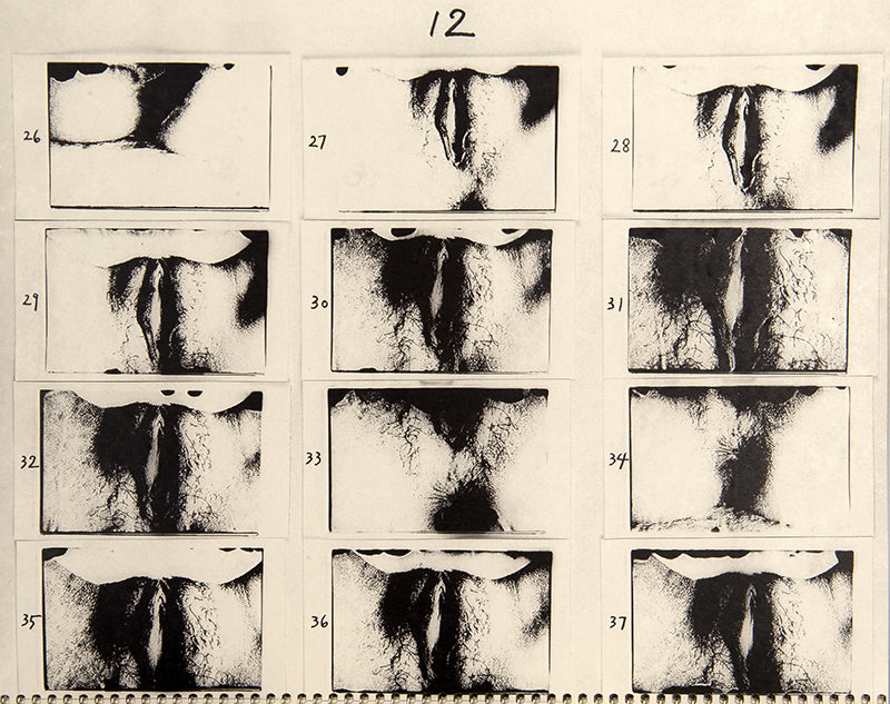 ABCD is a facsimile of four of Araki's early 1970s notebooks containing enlarged contact prints from 94 rolls of film. The negatives were processed using an overheated developer solution, which caused the film's emulsion to fracture unpredictably.