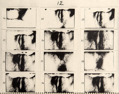 ABCD is a facsimile of four of Araki's early 1970s notebooks containing enlarged contact prints from 94 rolls of film. The negatives were processed using an overheated developer solution, which caused the film's emulsion to fracture unpredictably.