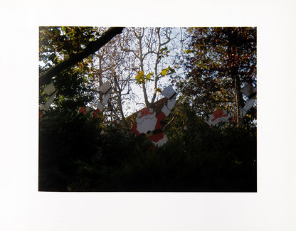Three of Stephen Shore's artists' books produced using Apple's print-on-demand iPhoto software. Editions of 20.