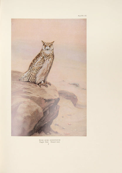 Deluxe edition of Colonel Meinertzhagen's Birds of Arabia, the definitive ornithological work of Arabia.