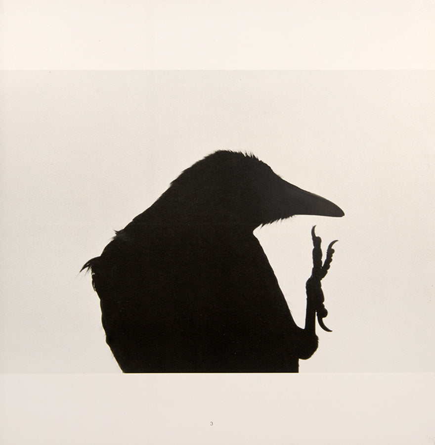 Karasu Ravens is Masahisa Fukase's masterpiece, a cornerstone in the history of Japanese post-war photography. 