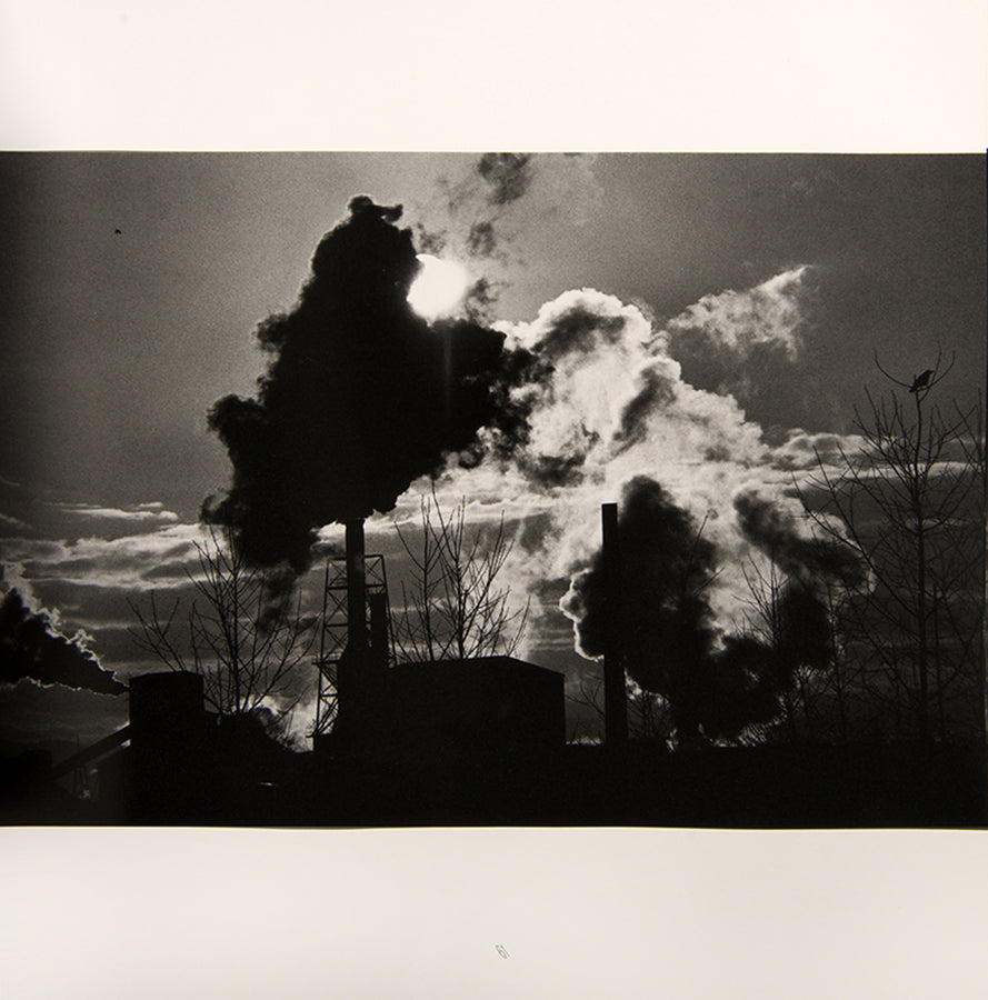 Karasu Ravens is Masahisa Fukase's masterpiece, a cornerstone in the history of Japanese post-war photography. 