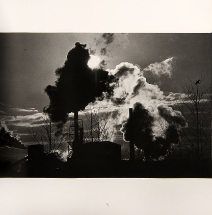 Karasu Ravens is Masahisa Fukase's masterpiece, a cornerstone in the history of Japanese post-war photography. 