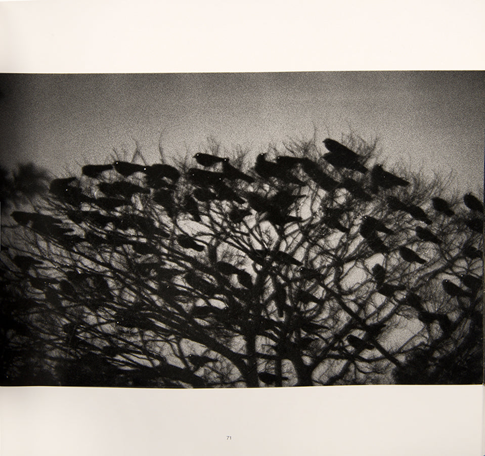 Karasu Ravens is Masahisa Fukase's masterpiece, a cornerstone in the history of Japanese post-war photography. 
