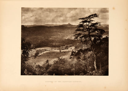 First edition of Ruined Cities of Ceylon by Henry Cave, in full publisher's vellum, of this early photographic work on the ancient cities of Sri Lanka.