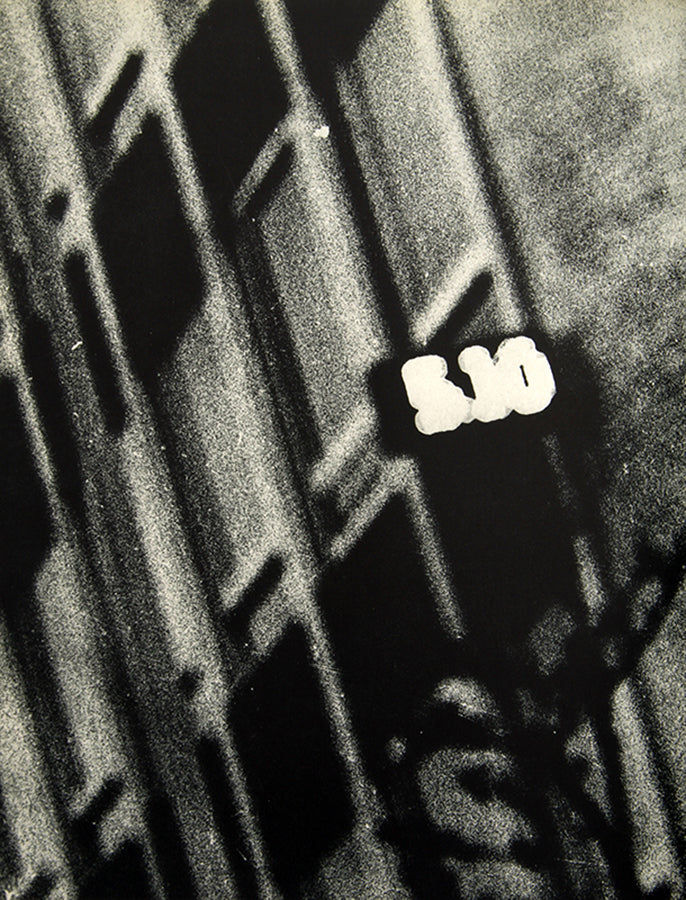 Moriyama Daido's Shashin yo Sayonara Bye Bye Photography is the central book of the Provoke movement.