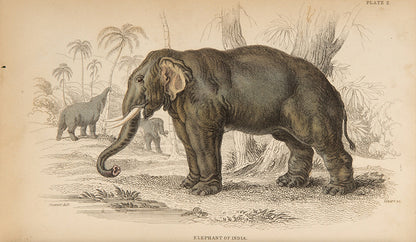 First edition of The Naturalist's Library by William Jardine, full set of 40 volumes.