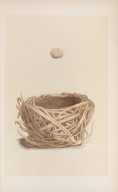 Mixed set of F.O. Morris's History of British Birds and History of Nests and Eggs, 1863-1864.