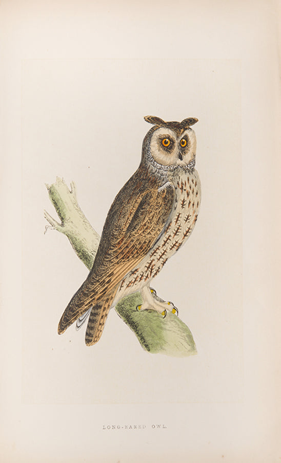 Mixed set of F.O. Morris's History of British Birds and History of Nests and Eggs, 1863-1864.